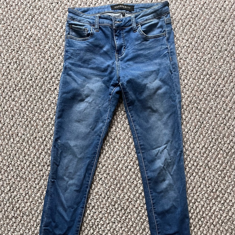 Prosperity Denim Women's Classic Blue Skinny Jeans